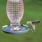 Perky-Pet Perky-Pet Hummingbird 16 oz Glass/Metal Nectar Feeder 4 ports 8131-2 - alternate 3
